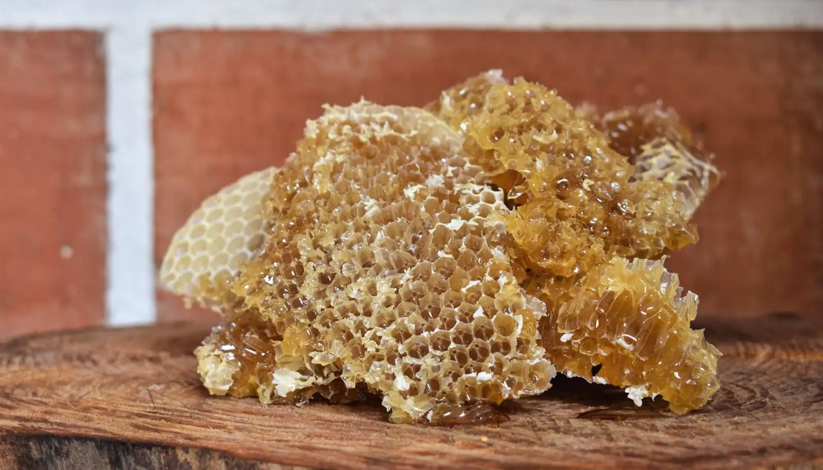 Propolis : origines, bienfaits et précautions